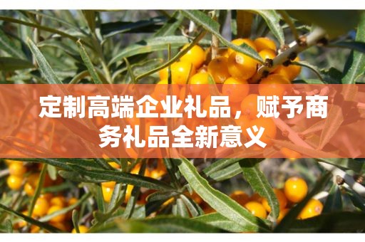 定制高端企业礼品，赋予商务礼品全新意义