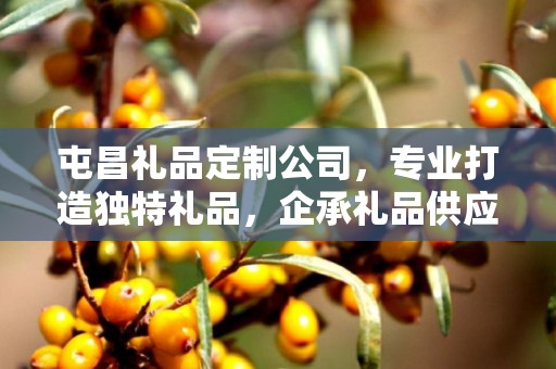 屯昌礼品定制公司，专业打造独特礼品，企承礼品供应链卓越服务