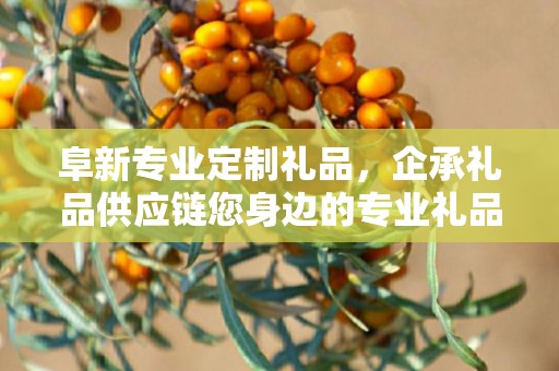 阜新专业定制礼品，企承礼品供应链您身边的专业礼品定制公司