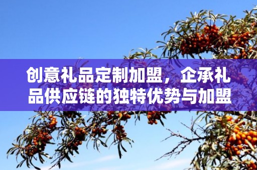 创意礼品定制加盟，企承礼品供应链的独特优势与加盟前景